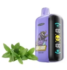 Elf Bar GH 23000 Purple Mint