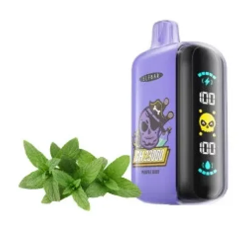 Elf Bar GH 23000 Purple Mint